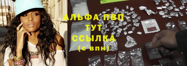 спиды Рославль